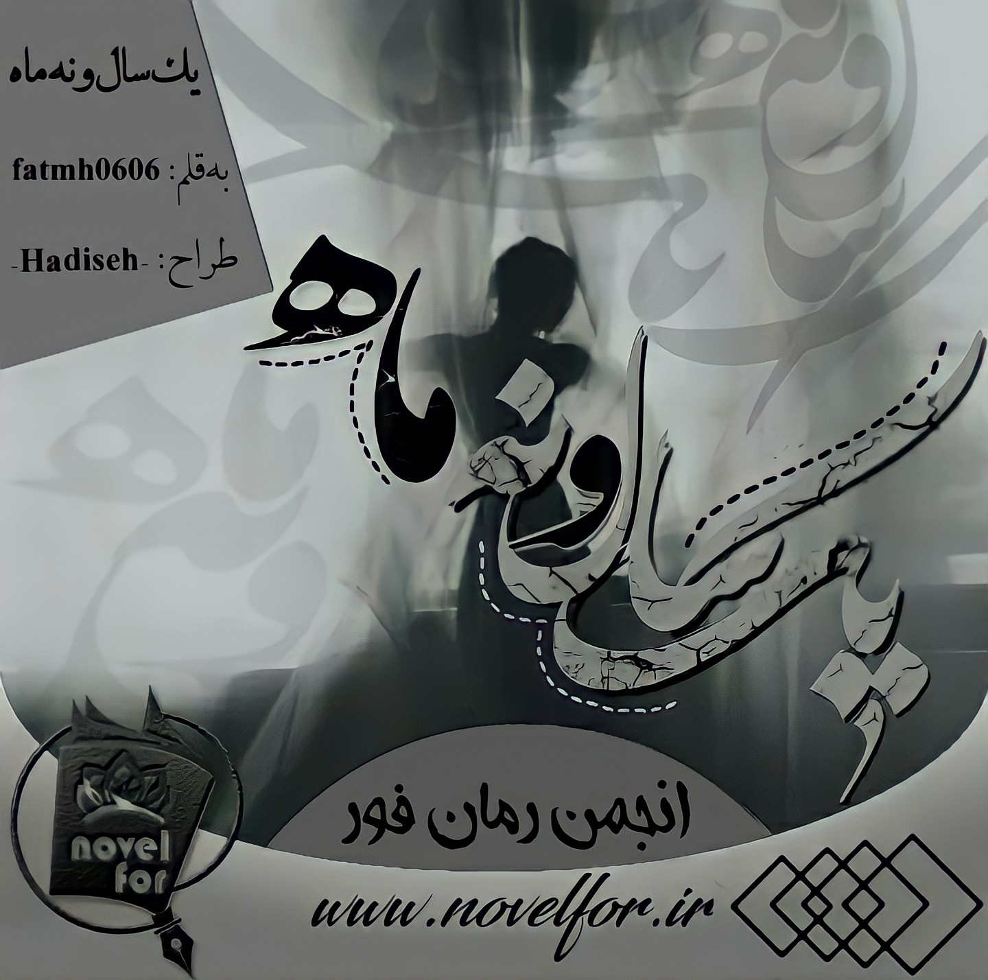 جلد رمان یک سال و نه ماه